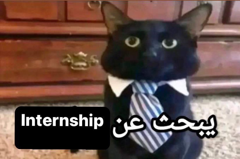 Maryam 👾 tweet media