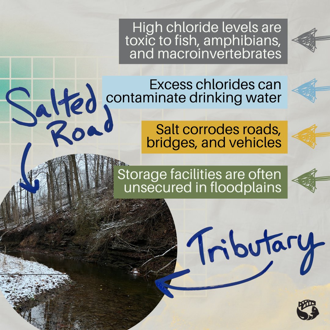 3RWaterkeeper's tweet photo. Sign up for Salt Watch and we will send you a free kit! Salt Watch is a community initiative by the @IWLA_org where community members can help monitor the chloride (salt) levels in local waterways. Help defend our streams and rivers and sign up at https://t.co/JPypPhKBHr. https://t.co/H18tCeCy6J