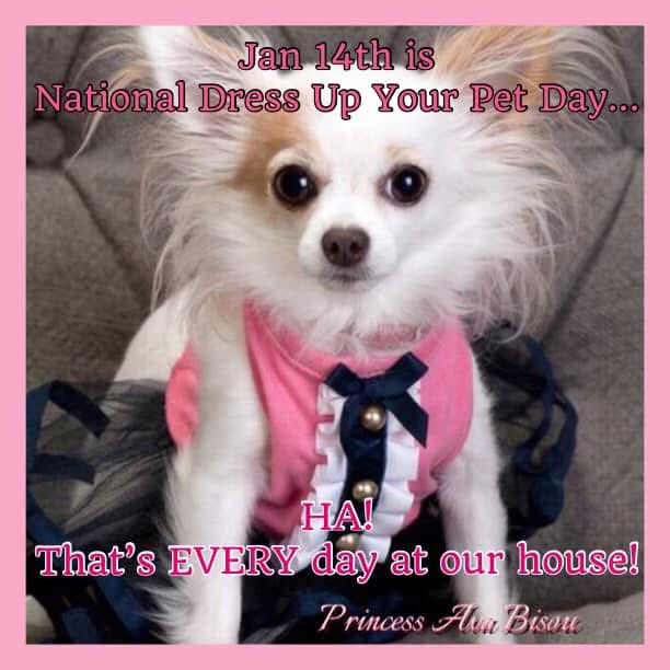 Princess AvaBisou tweet media