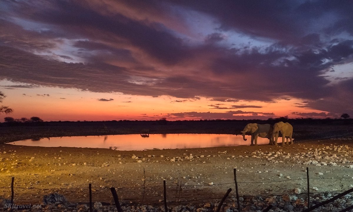 #TRLT Will have to look at everyone's answers when I have time for travel inspiration. For Q4 the answer will just about always be Rocky Mountain NP since it's just down the road from me. haha Other than that, Etosha NP most recent. very different! 2 pics from each #nationalparks