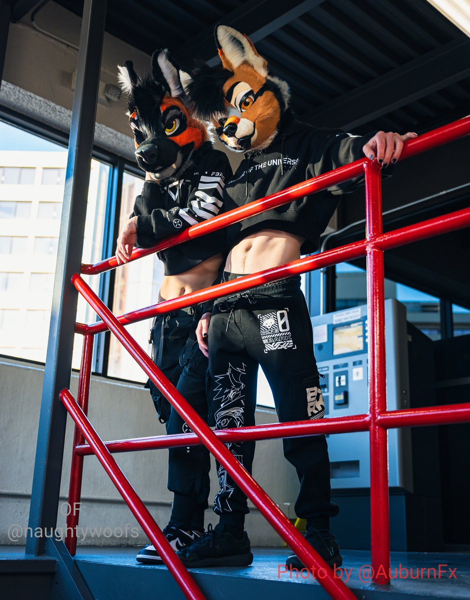 rogueyotie's tweet photo. Who's gonna find us at FC?  🐶🐾  Keep an eye out 👀

📸: @AuburnFx  ✨🦊 https://t.co/d2t1aSuRHT