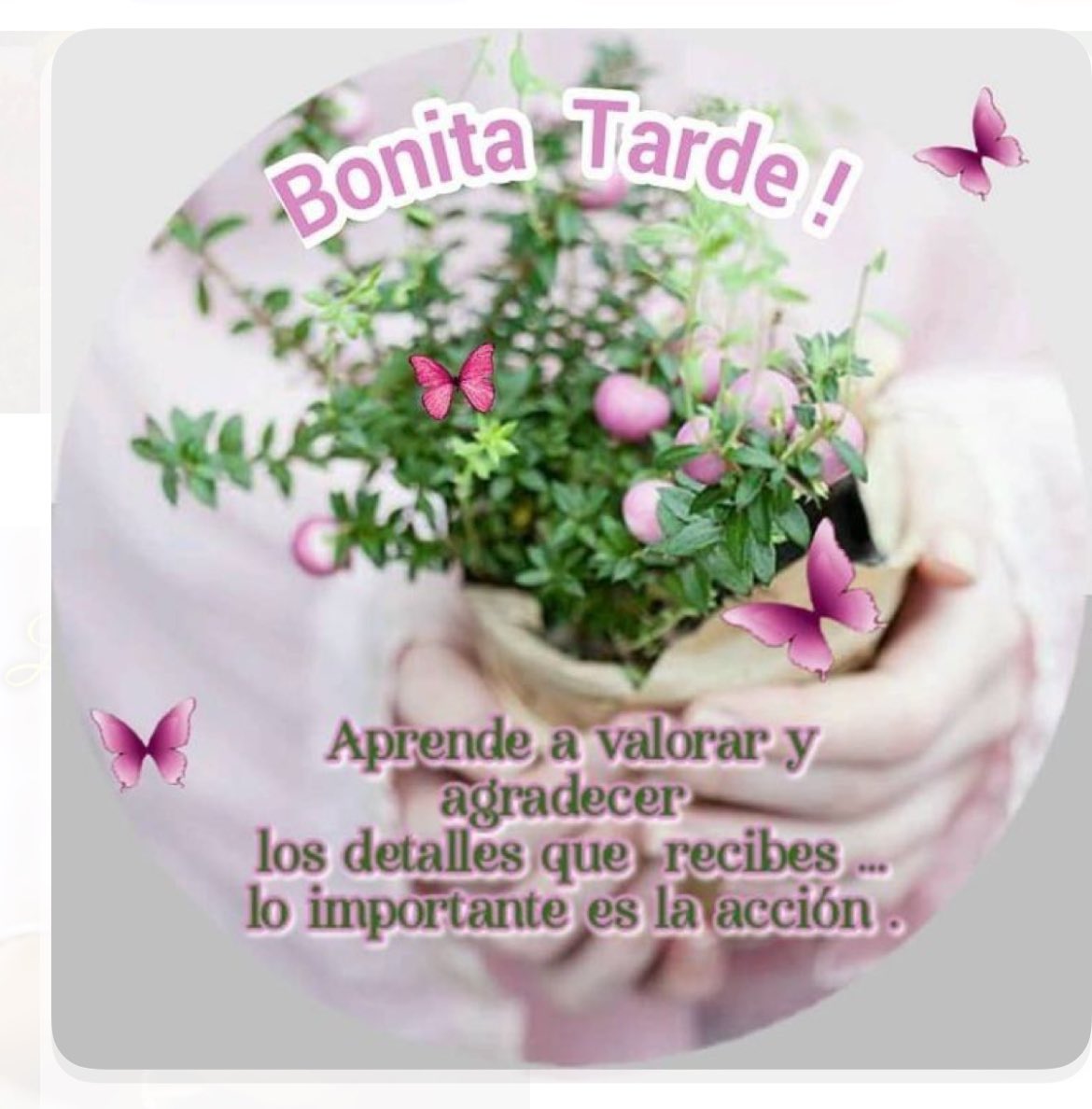 Celina Correa 🇵🇦 tweet media