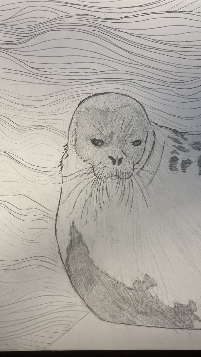 Meta Blanket tweet media