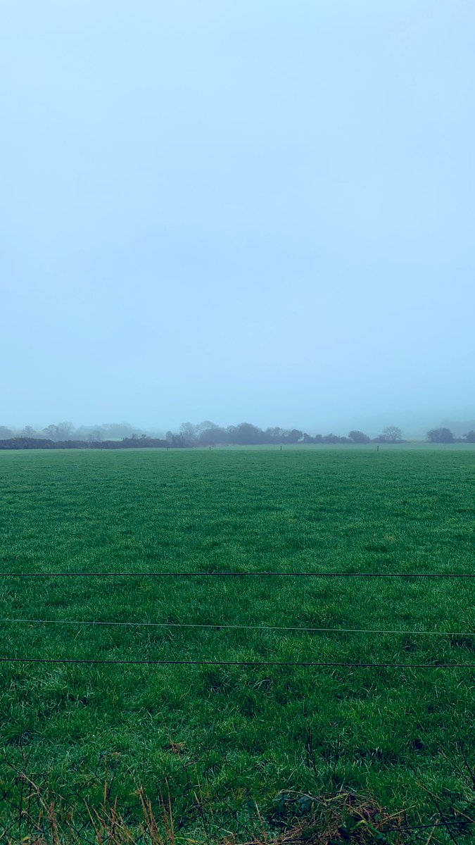 since I walked the dog for  <a href="/sunrisechick_/">Máiréad</a> this morning, I felt duty-bound to take a few photos of the misty countryside for her also 😬