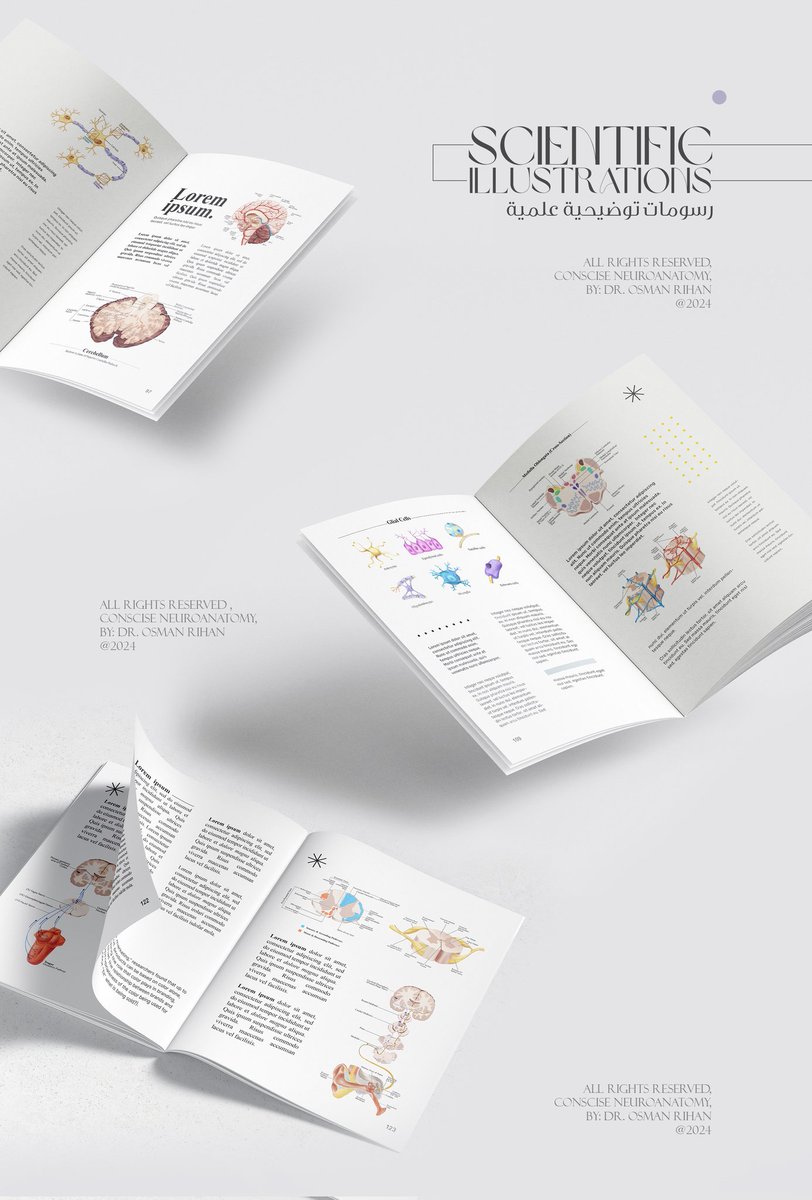 نماذج من أعمالنا في الرسم الرقمي
"رسومات توضيحية علميّة" - لكتاب عِلم المخ و الأعصاب 🌟

#تجمع_فنانيين12