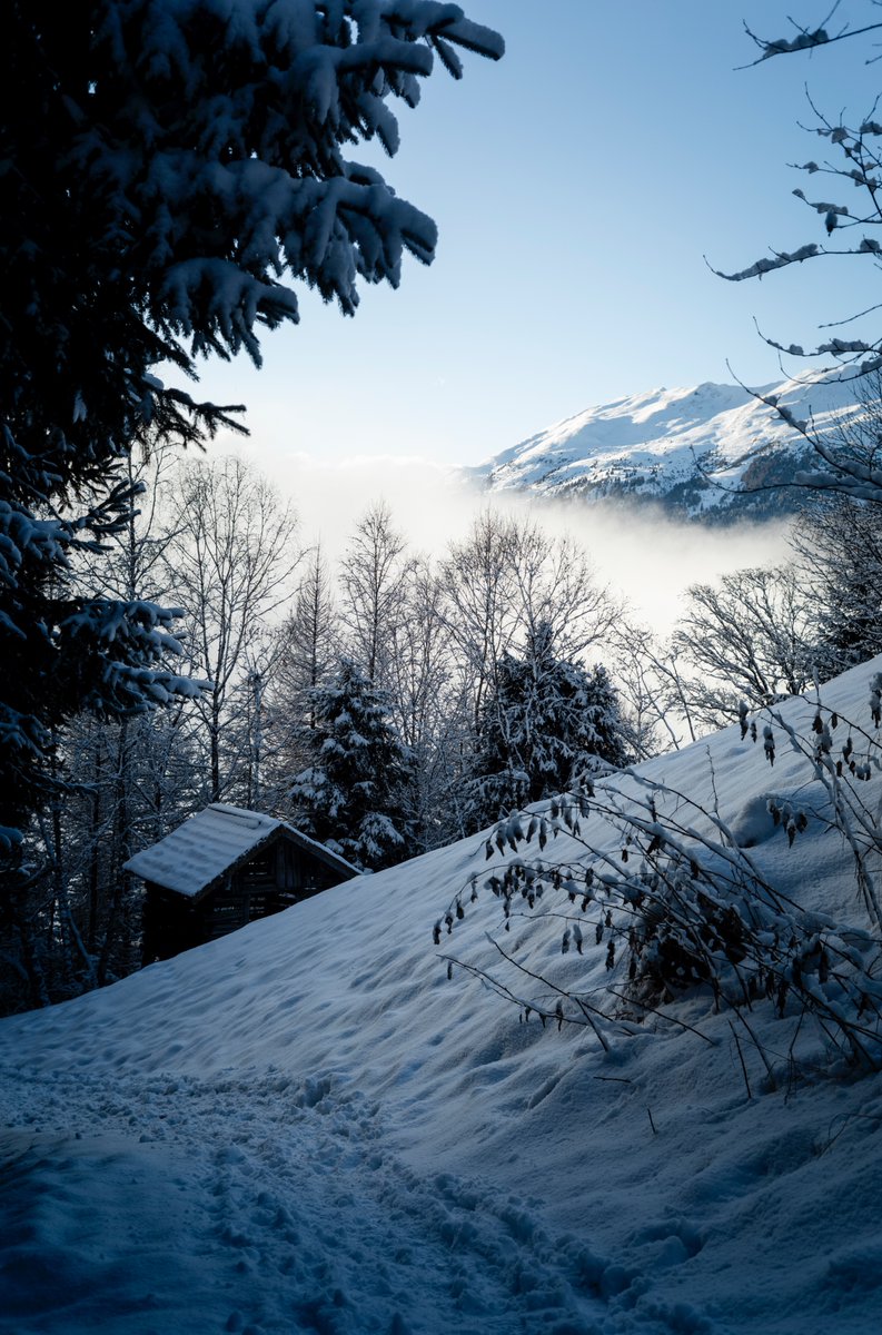 mataphoto's tweet photo. the path #snow #alpin #glacier #look #winter #alps #Austria #2025 #fresh #Leica #LeicaM #pitztal #GLETSCHER #PITZTALERGLETSCHER #outdoor #path #cabin https://t.co/t83ocfFHsy