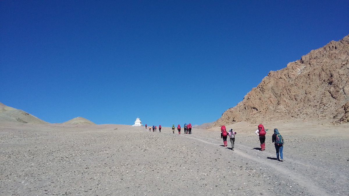 Pitt Global Experiences tweet media