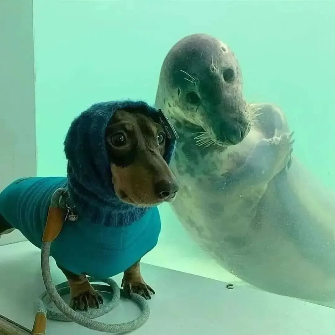 twaniimals's tweet photo. https://t.co/dlpq7MXyaz