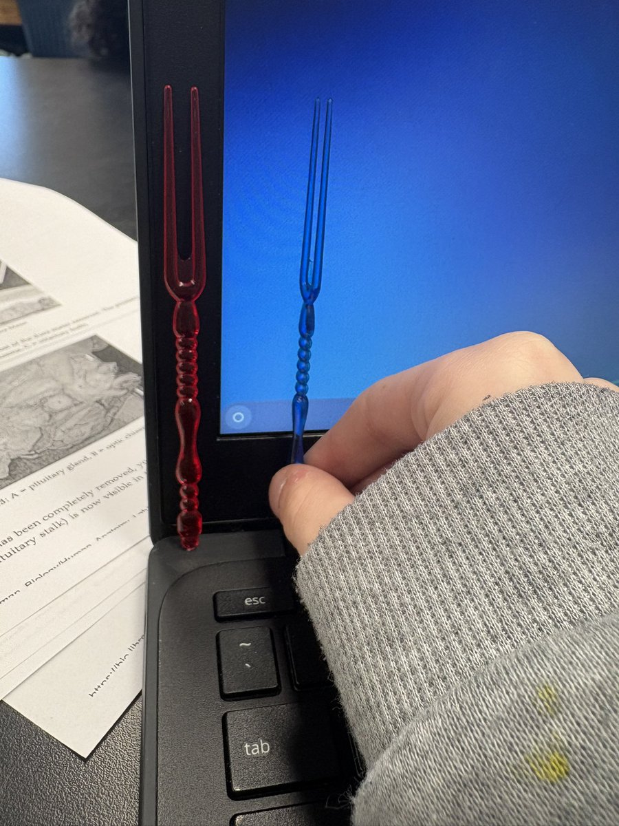 Oof_Isaaa's tweet image. #catvi