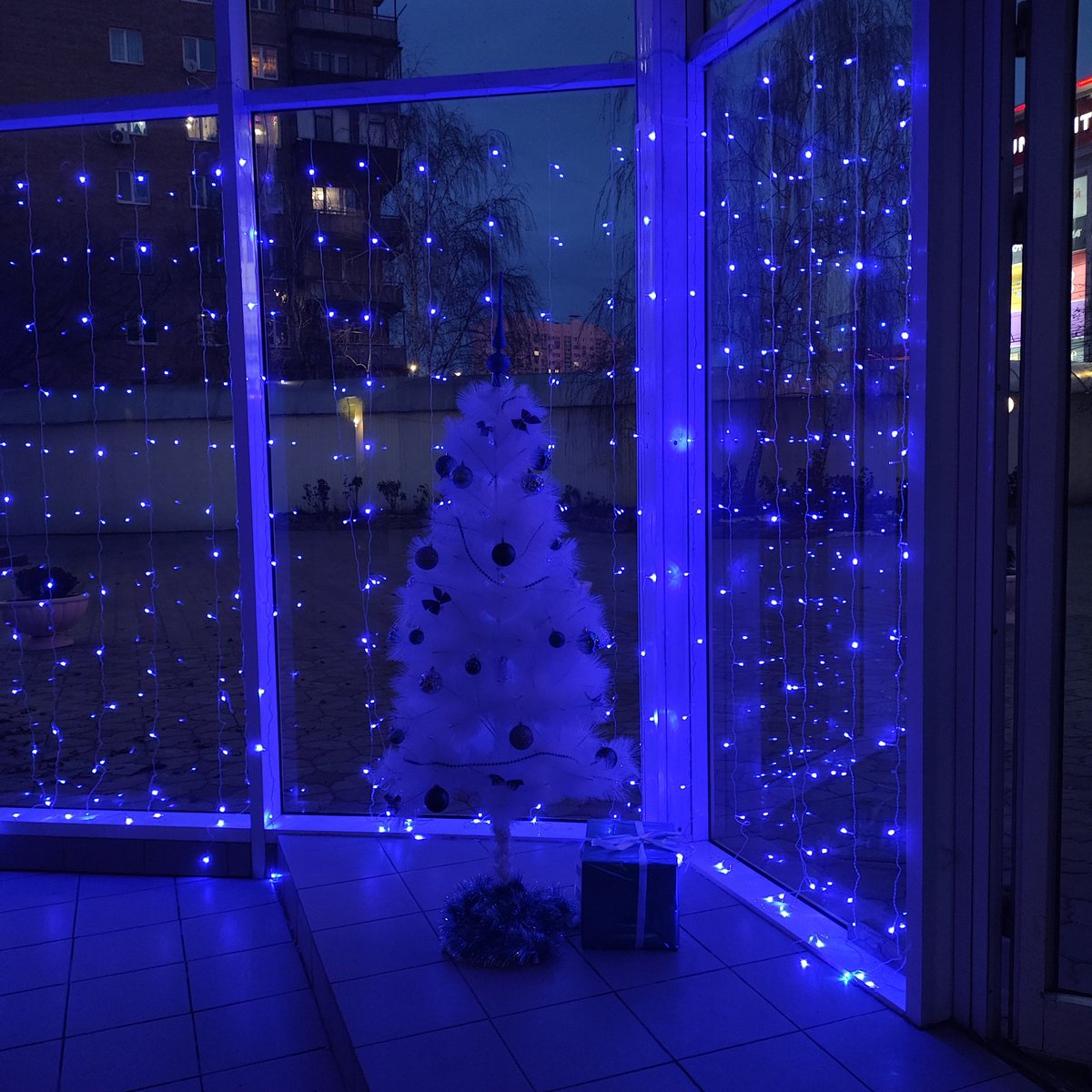 У нас ввели дополнительные платные курсы к демо экзамену и теперь я сижу в колледже с 8 до 17 : 30 🥲