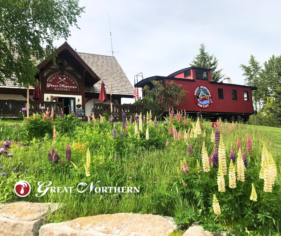 GNResort's tweet photo. Winter snow brings spring glow 🌨️✨

Now is the time to start planning your dream summer getaway! 🌞 Escape to Great Northern Resort, just 1 mile from the stunning Glacier Park.

Book your stay today! 🏞️ https://t.co/ShB1Ouo3uM

#GlacierNationalPark #Spring #Montana #Vacation https://t.co/mm2xT3z1mb