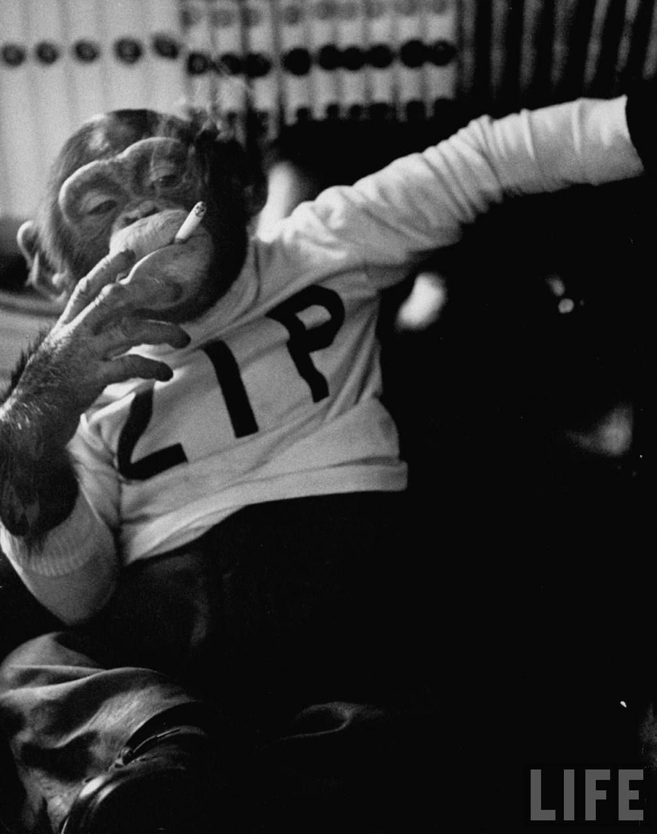 Sergirt's tweet photo. @SpainYakuza My body is ready... https://t.co/uYWDrEr1QZ