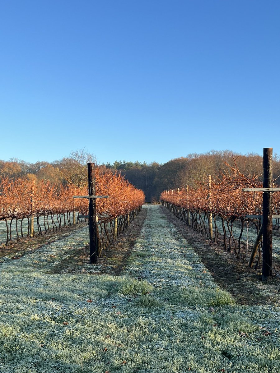 Biddenden Vineyards tweet media
