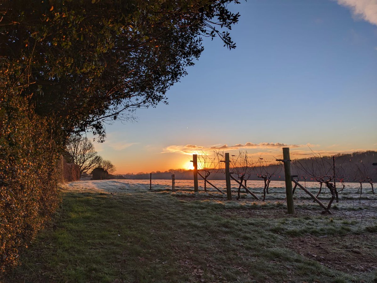 Biddenden Vineyards tweet media