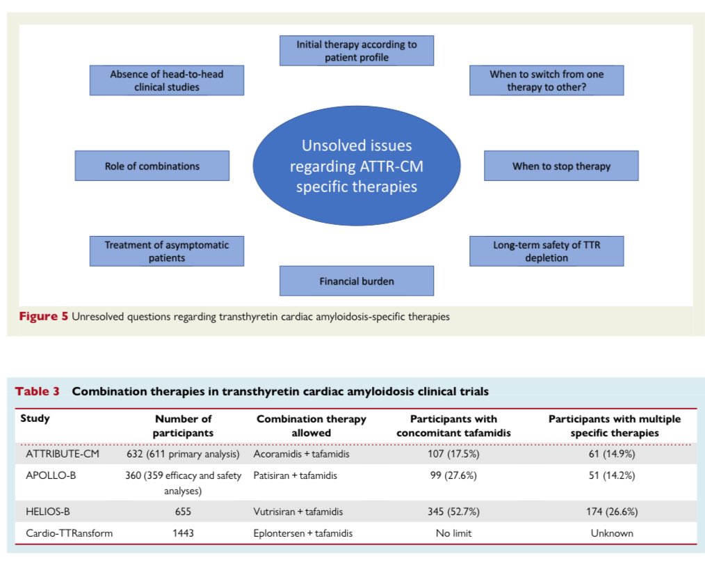 Ed_Alania's tweet photo. 🔴 TTR amyloid cardiomyopathy: a paradigm for advancing precision medicine @ESC_Journals #Amyloidosis #Cardiology #Cardioed #FOAMed https://t.co/fZyDURbHtu