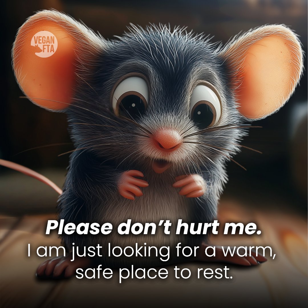 teamveganfta's tweet image. Rats are misunderstood animals who deserve kindness, not fear. 🐭❤️

👉 Tell Lowe's Home Improvement to Ban Brutal Glue Traps Today! drove.com/.2IsI 🐀

🎨: @teamveganfta

#rats #mice #pests #pestcontrol #cartoon
