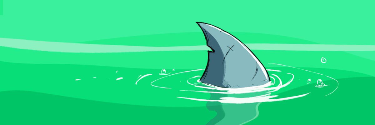 The Fins tweet media