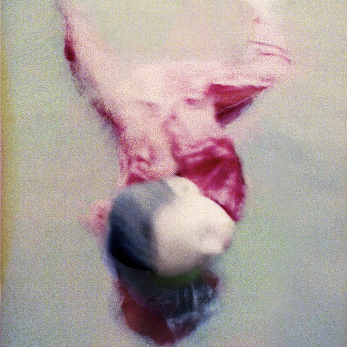 FirstTerrace's tweet image. ‘Lucid Dreams’ by @Chi_hatakeyama_  is out next week! 

Wonderful artwork images by Maria Sécio. 

Pre-order now : chiheihatakeyama.bandcamp.com/album/lucid-dr…