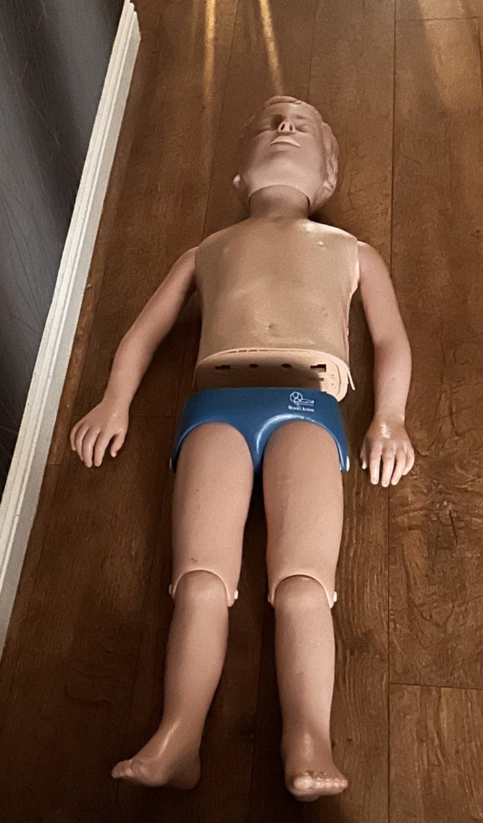 Another few days of training, training the Life Savers of the future ⛑️❤️

sikafirstaid.co.uk