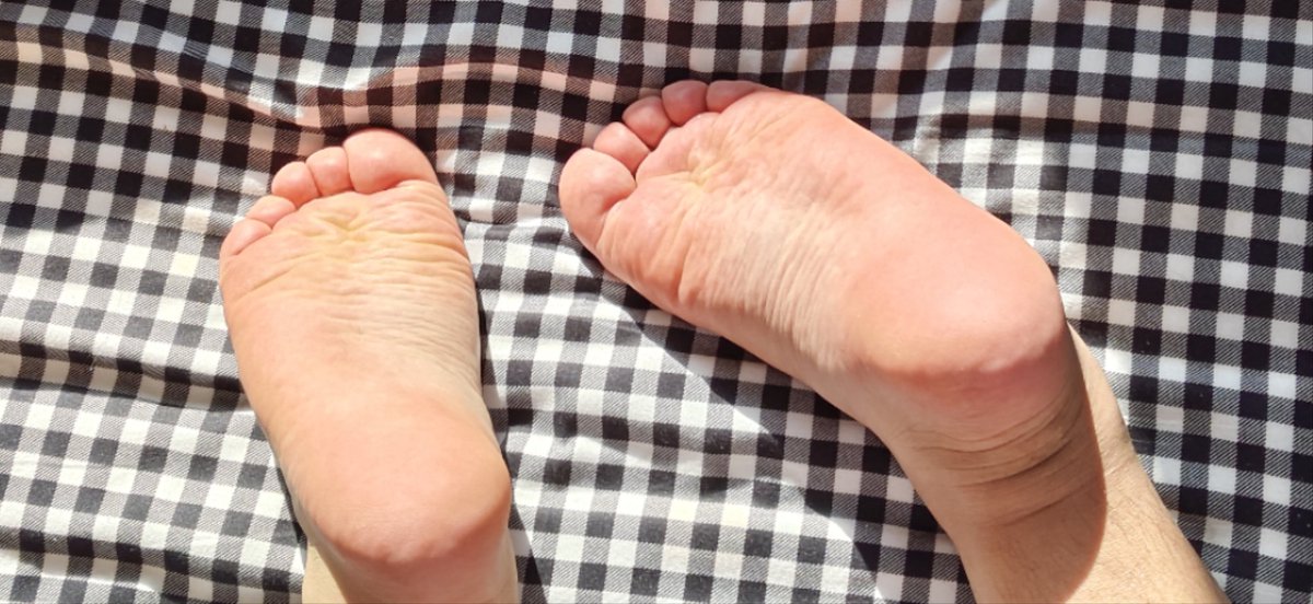 肉脚小猪 (@xunzi12138) on Twitter photo 