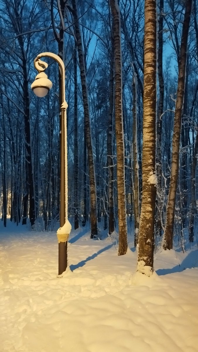 psaiker_nero's tweet photo. Зима ☃️❄️2025 🐍 https://t.co/1y0RmlhiLE