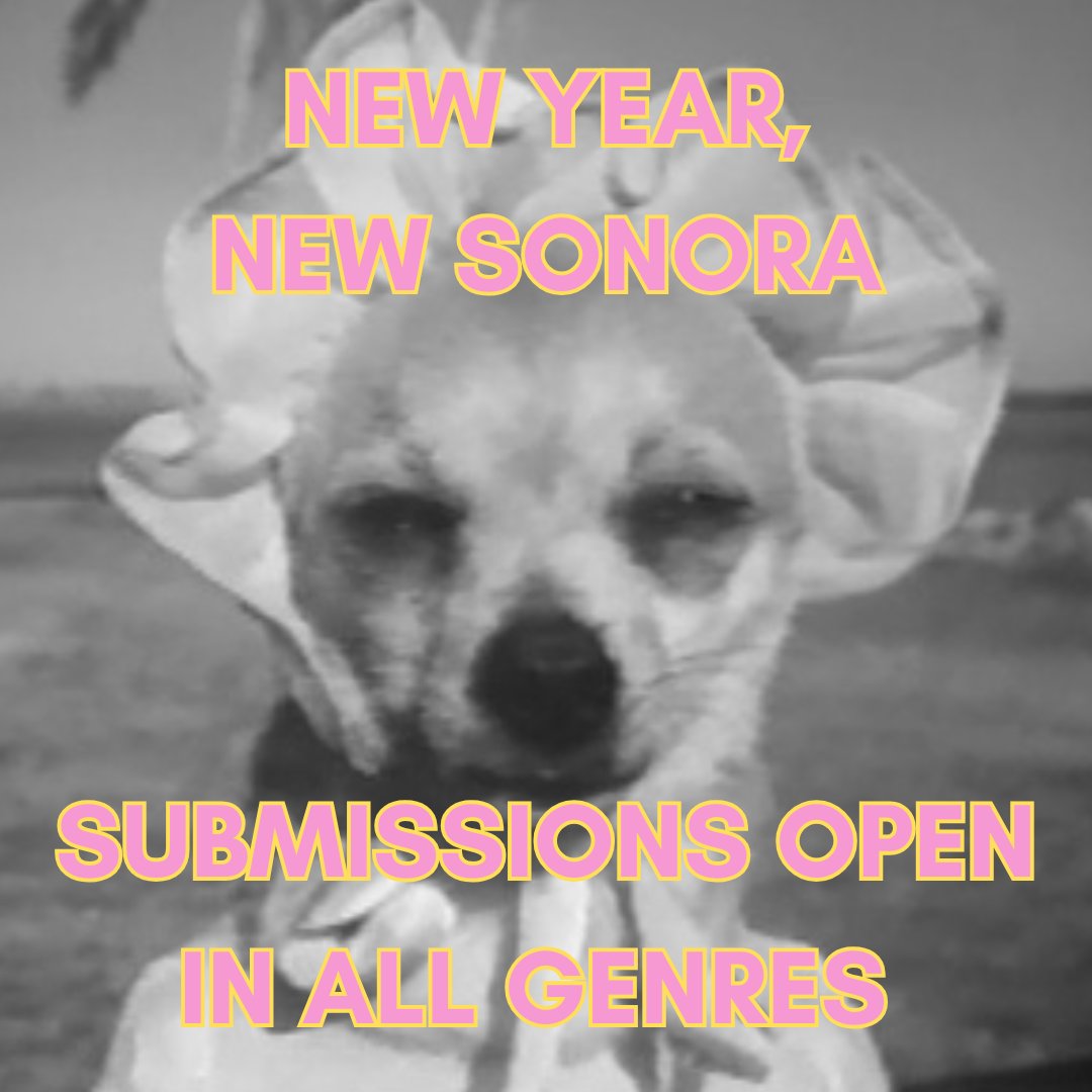 Sonora Review tweet media