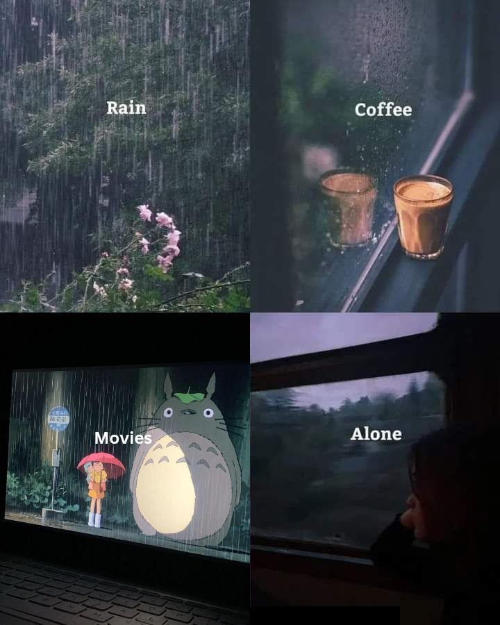 Anime Aesthetics tweet media