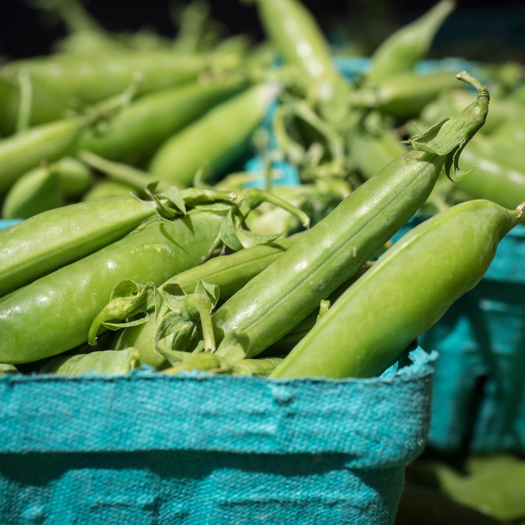 RRISD Food Services tweet media