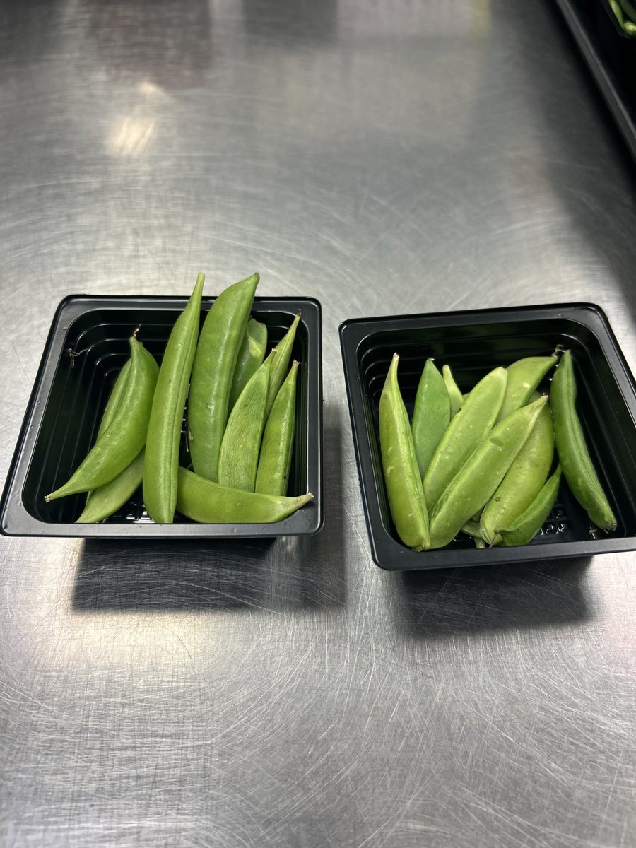 RRISD Food Services tweet media