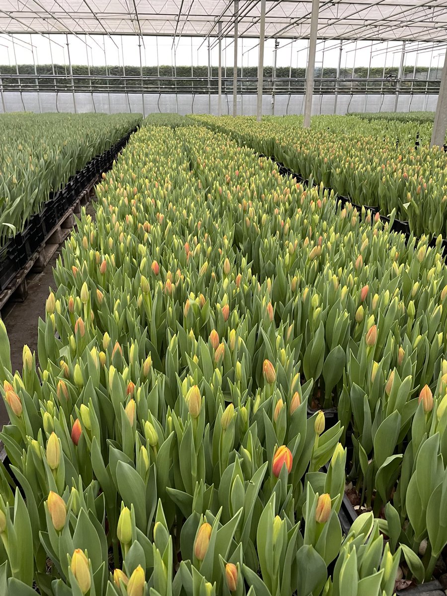 E M Cole Farms Ltd (@emcolefarmsltd) on Twitter photo 