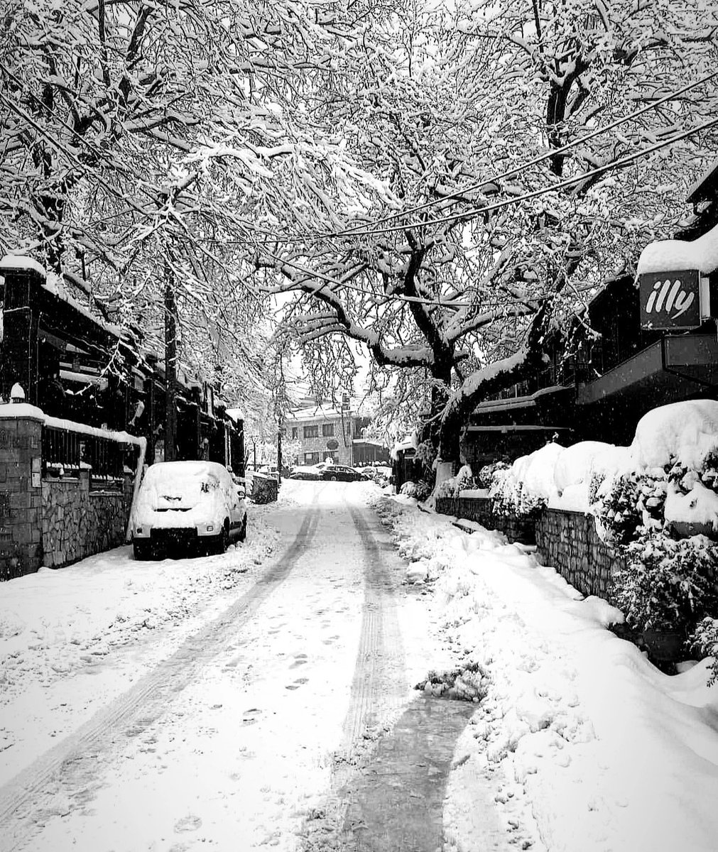Ελάτη Τρικάλων ❄️🤍