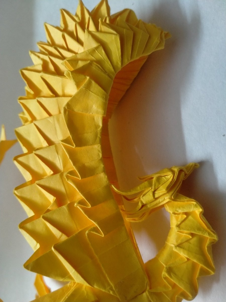 phoenix66551's tweet photo. Finished Phoenix
Folded by me
Model by- Lien Quoc
was bit struggling with the wings part but i got it i was able to interlock it pretty good without aid of glue at first but then i used so it will be secure
#origami #origamiphoenix
#origamibird https://t.co/1EGYmyp4R8