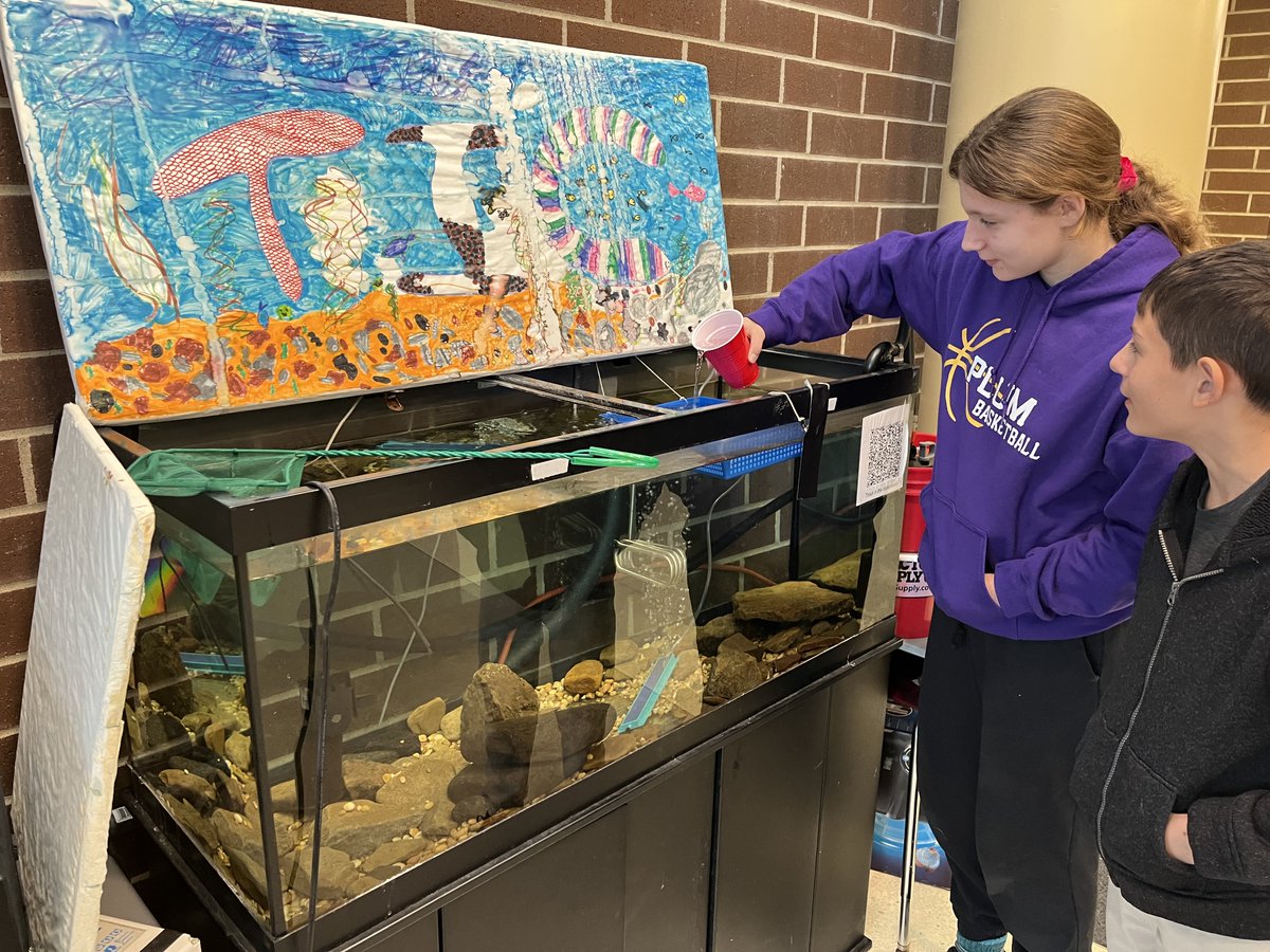 Fran Sciullo, D.Ed. tweet media