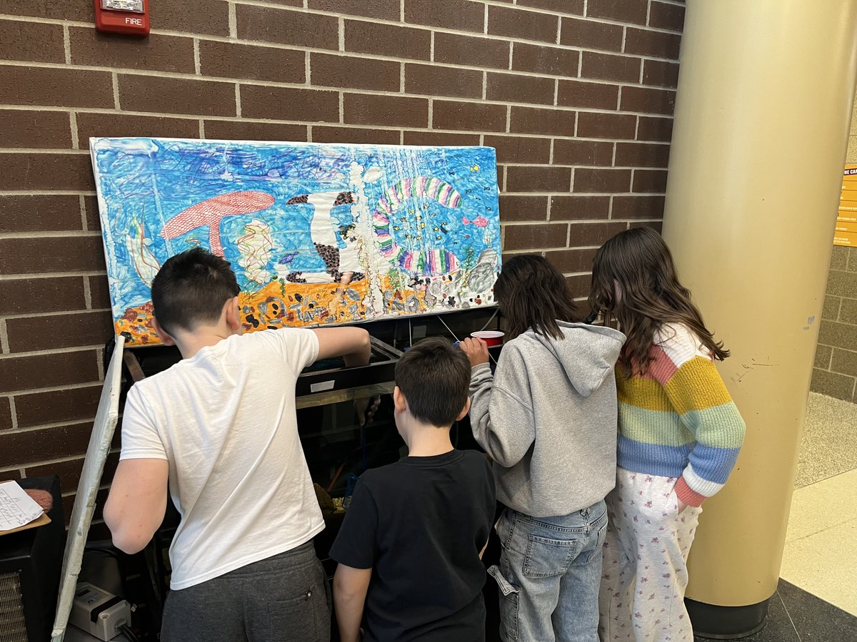 Fran Sciullo, D.Ed. tweet media