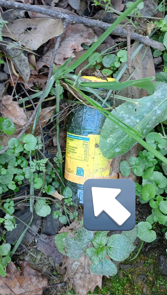 José Luis Muñoz Díaz tweet media