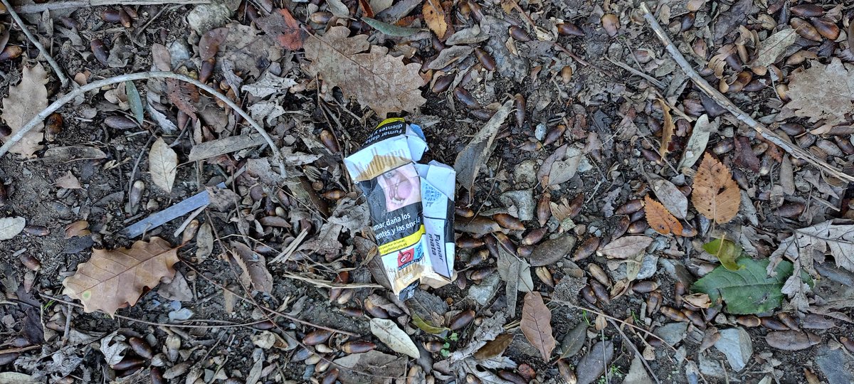 José Luis Muñoz Díaz tweet media