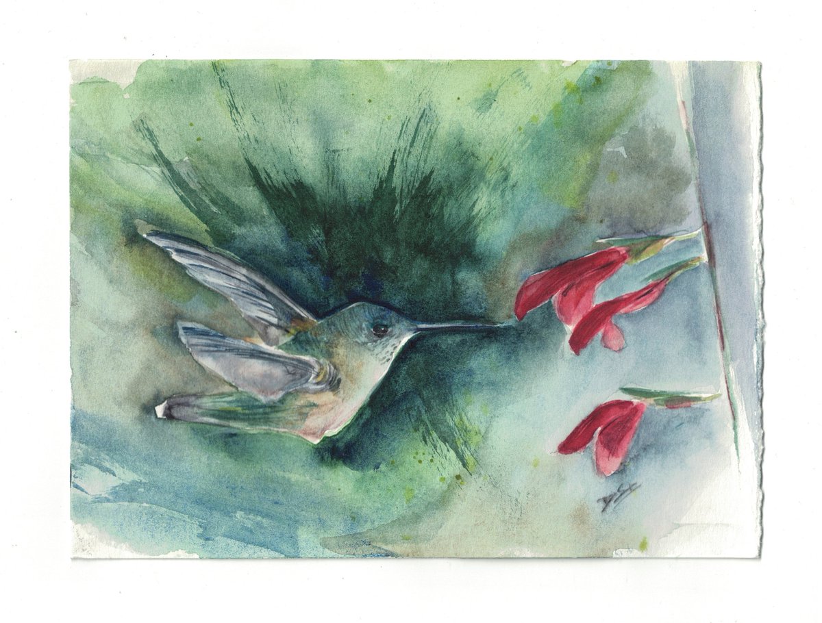 This is ready to fly to a new home.

Female Ruby-throated Hummingbird at the Salvia #watercolour #watercolor