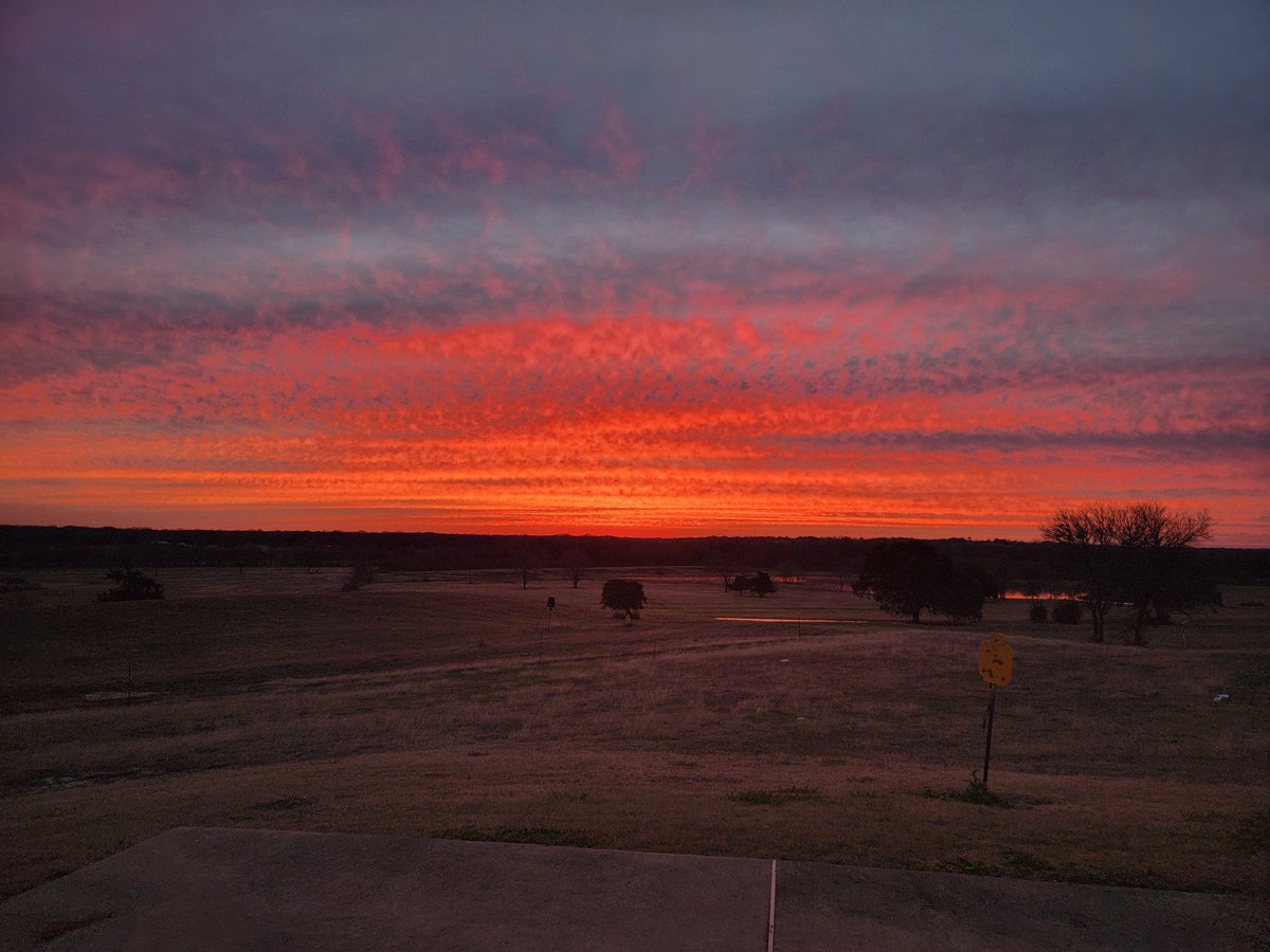 BrowningMachine's tweet image. . #FarmLyfe 

I'm truly sorry for the blameless suffering CA fires...

But the particulates make spectacular sunsets in Texas.
Our lower pasture: