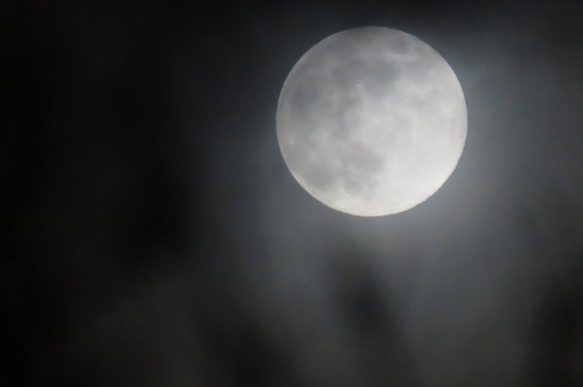 Donna Rainey tweet media