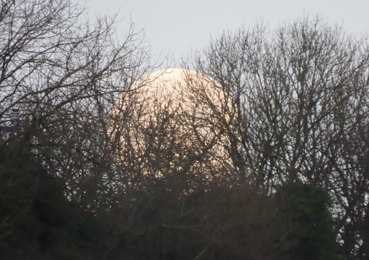 Donna Rainey tweet media