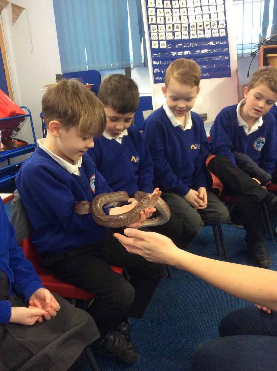 Rowena Academy tweet media