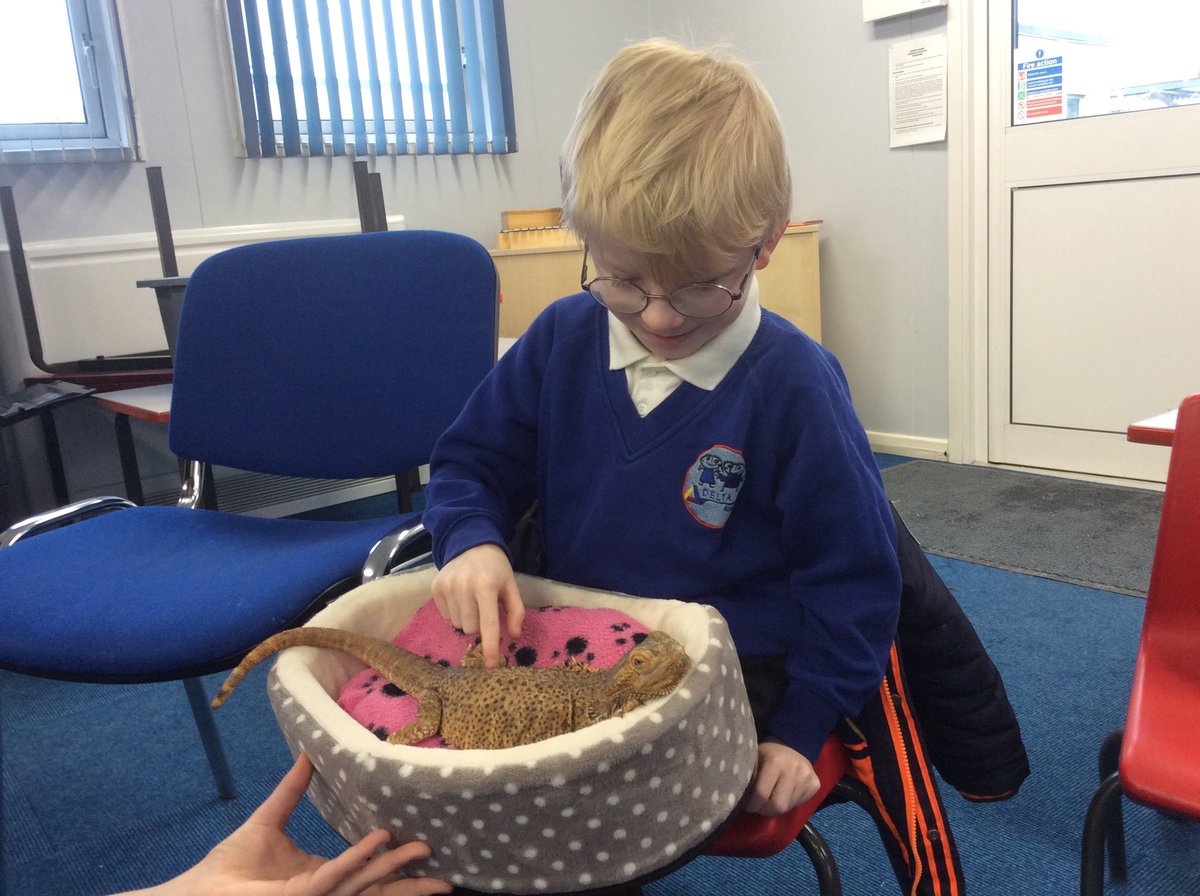 Rowena Academy tweet media