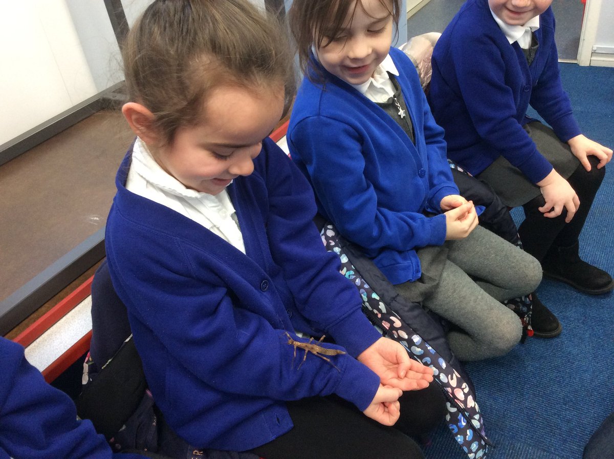 Rowena Academy tweet media
