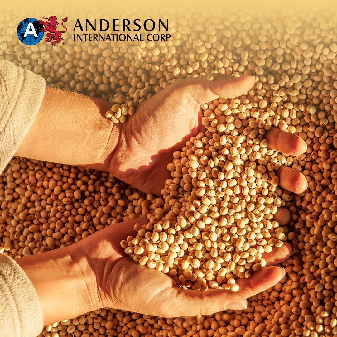 CorpAnderson's tweet image. The organic soybean meal market offers new opportunities for processors. Anderson’s ECOMEAL system helps overcome challenges and meet the growing demand for sustainable feed. Learn more here: buff.ly/42aEdwb 

#OrganicFarming #SoybeanProcessing #Sustainability