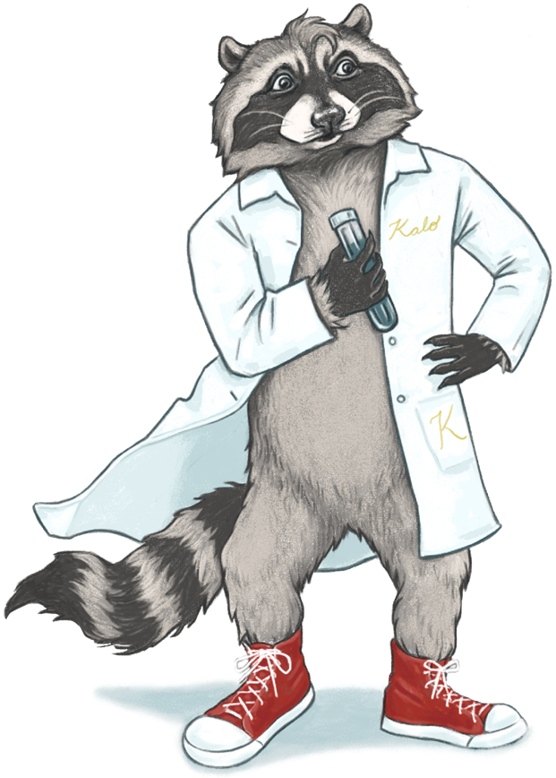 KellyLambertUR's tweet image. I'm bringing Kalo back, the raccoon with science as his superpower! Created for the COVID era, he's here to remind us: science-based decisions are essential for public health. Our future depends on leaders who make evidence-based health decisions. #ScienceMatters #KaloTheRaccoon