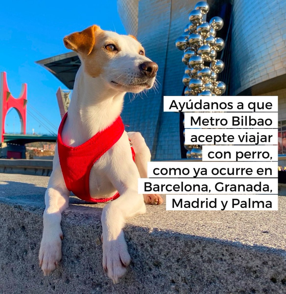 Pipper on tour tweet media