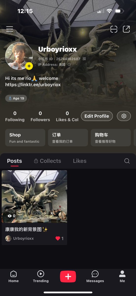 Rio 🌙 tweet media