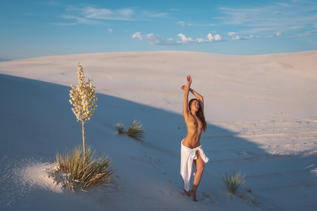 The Naked Desert Photography tweet media