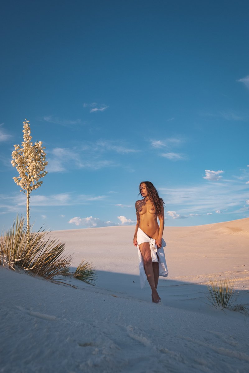 The Naked Desert Photography tweet media