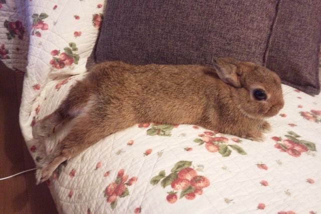 I think I’m going to be okay